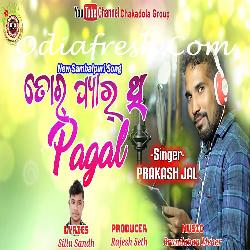 Tor Pyar Thi Pagal - Sambalpuri Song